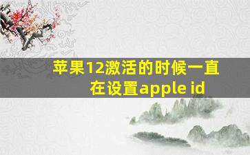 苹果12激活的时候一直在设置apple id